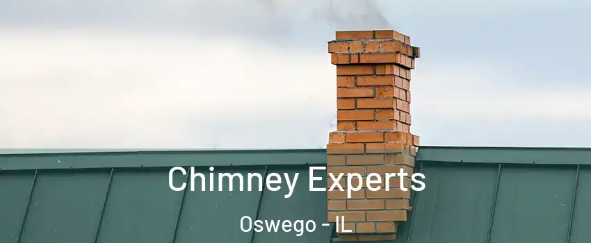 Chimney Experts Oswego - IL